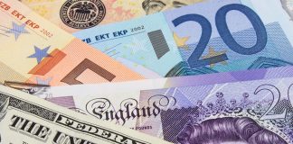 Euro pares gains after the economic data